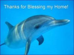 FB dolphin.jpg